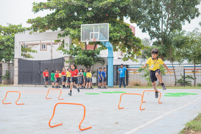 Daintree Public School